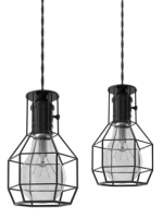 a pair of light bulbs from a wire cage